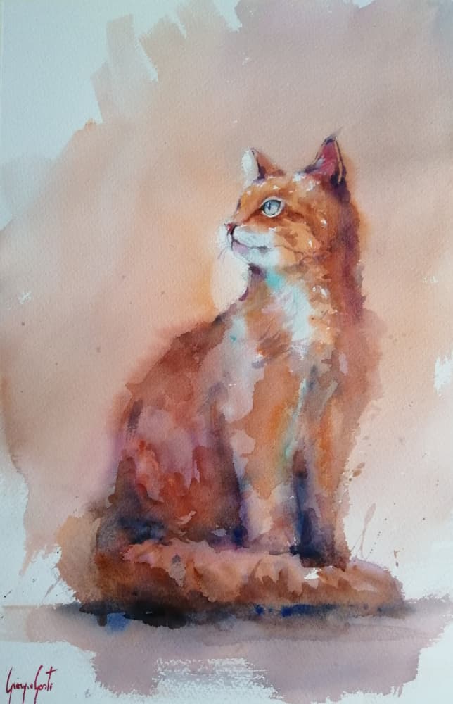 Orange Watercolor Cat by Giorgio Gosti — canvas wall art