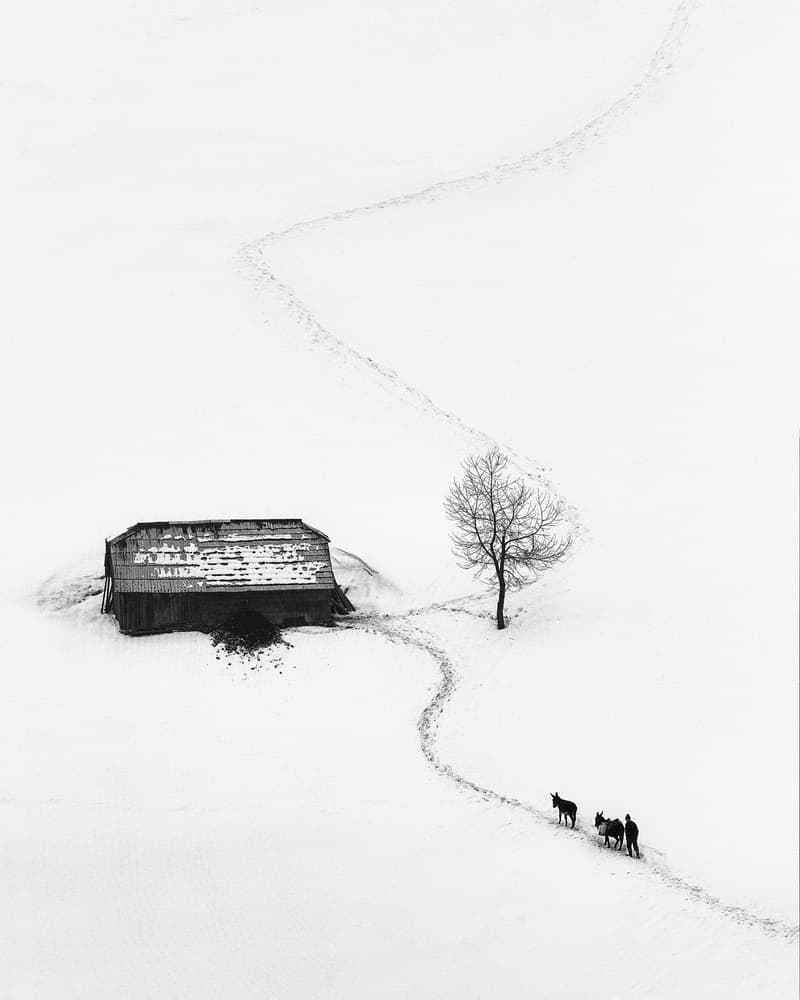 Snowy Path To Barn by Sebastian Prioteasa — canvas wall art