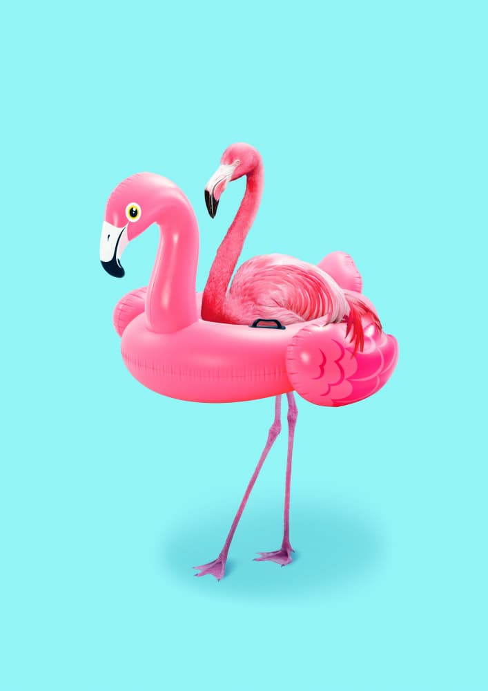 Pink Flamingo Float by Artem Pozdniakov — canvas wall art