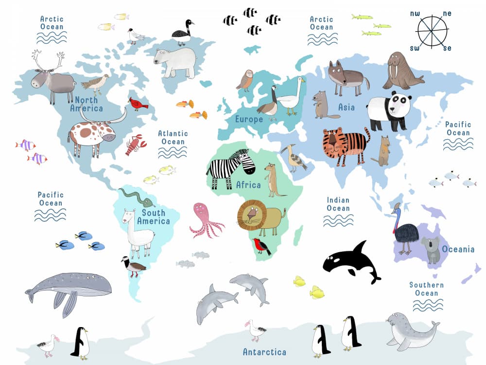 Kids World Animal Map by Carla Daly — canvas wall art
