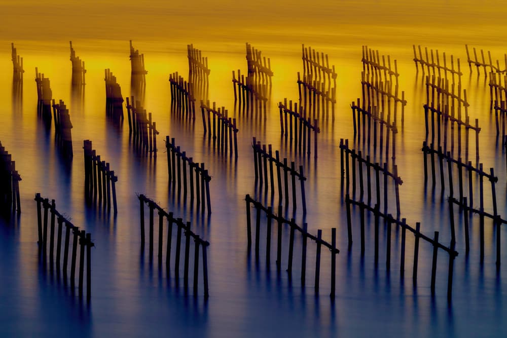 Golden Hour Pilings by MingLun Tsai (蔡明倫) — canvas wall art