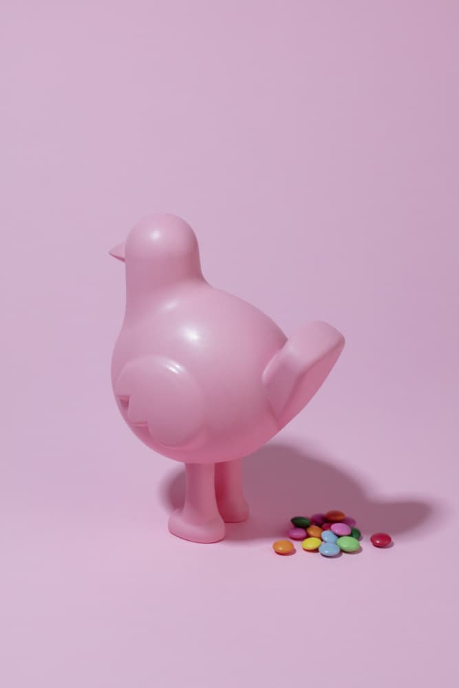 Pink Bird Sweet Treats