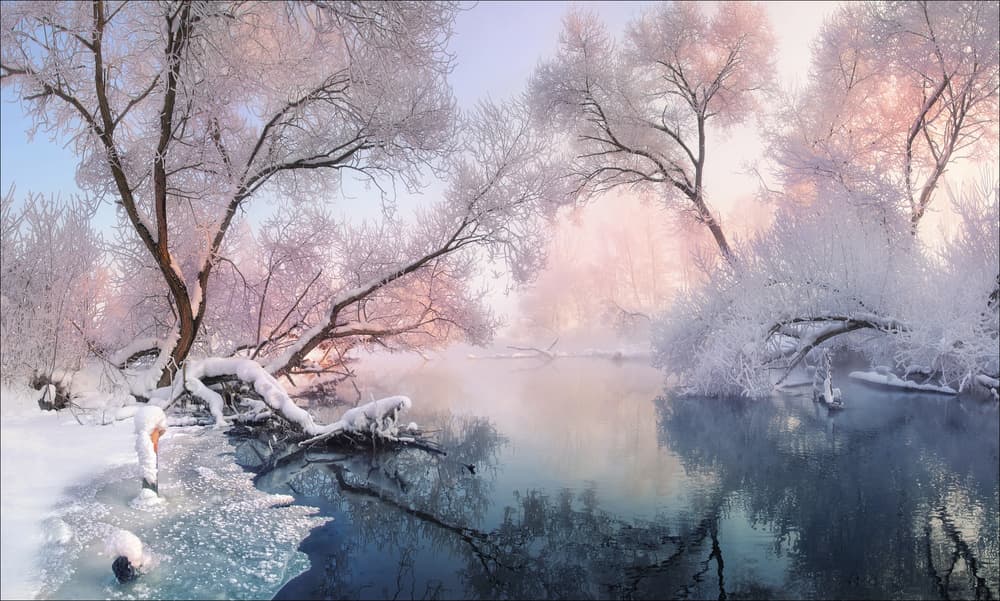 Serene Frosty Morning