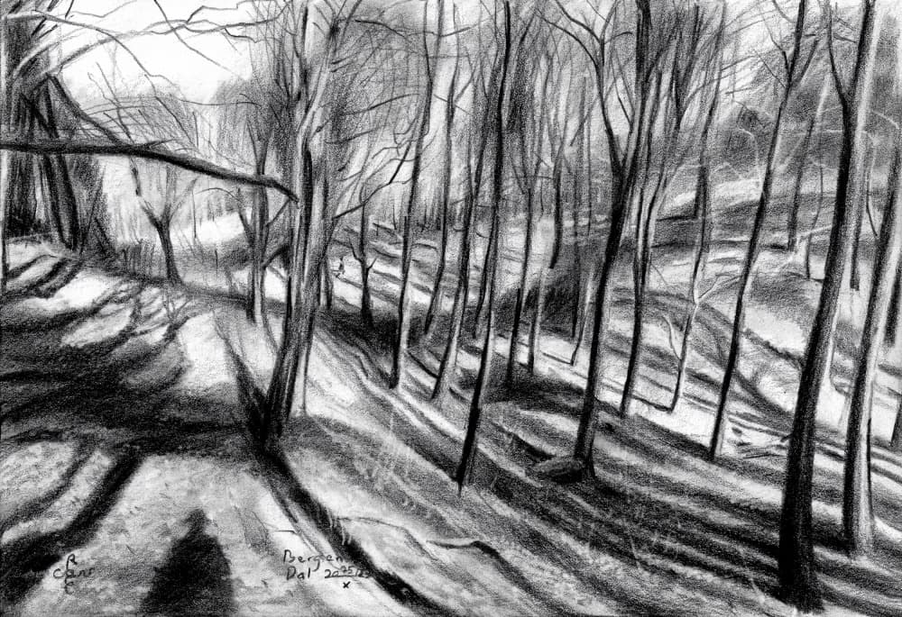 Winter Forest Path by Corné Akkers — canvas wall art