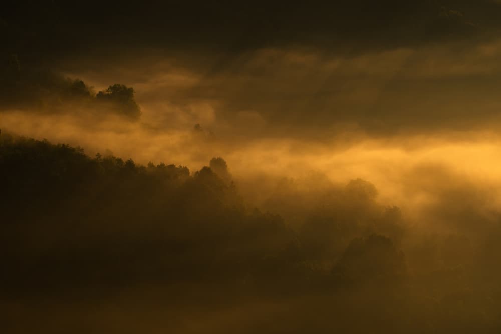 Golden Misty Clouds by Ovidiu Satmari — canvas wall art