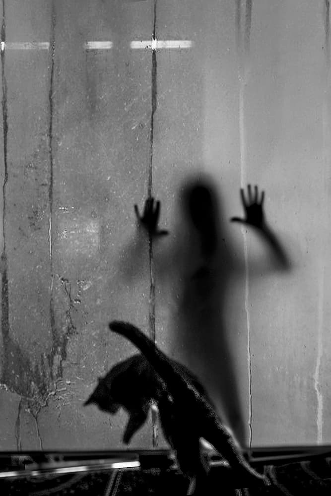 Shadow Figure and Cat by Emine Basa — canvas wall art