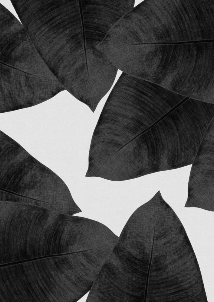 Dark Tropical Leaves by Orara Studio — canvas wall art