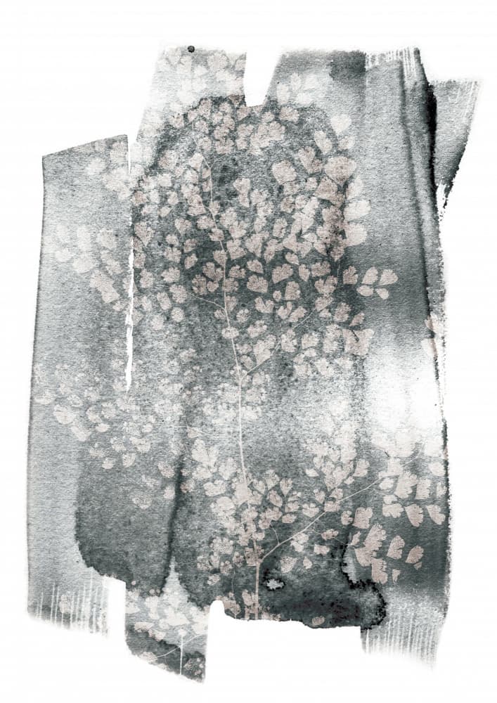 Botanical Whispers by Shot by Clint — canvas wall art