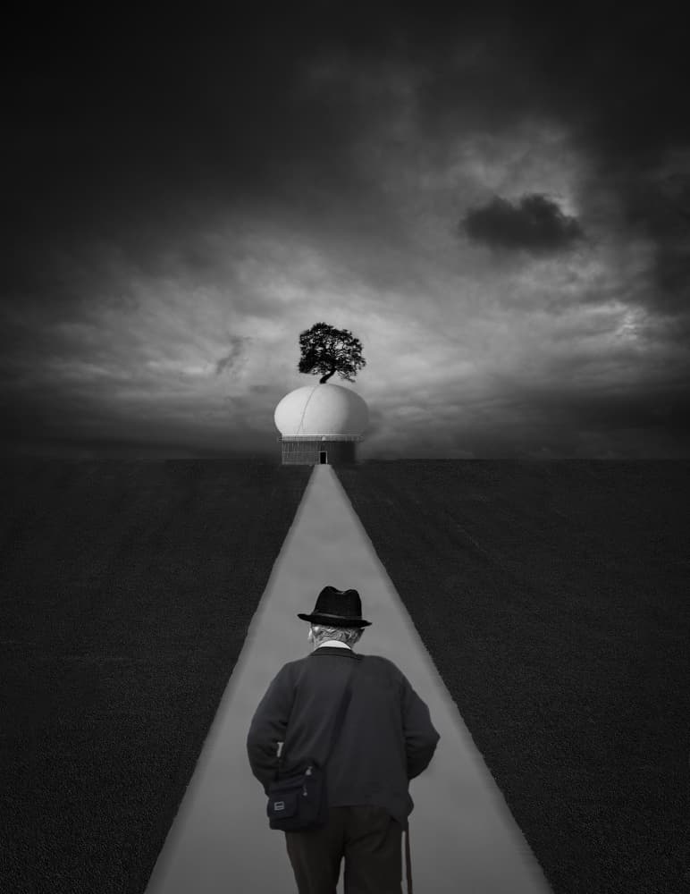 Solitary Path to Horizon by Clas Gustafson PRO — canvas wall art