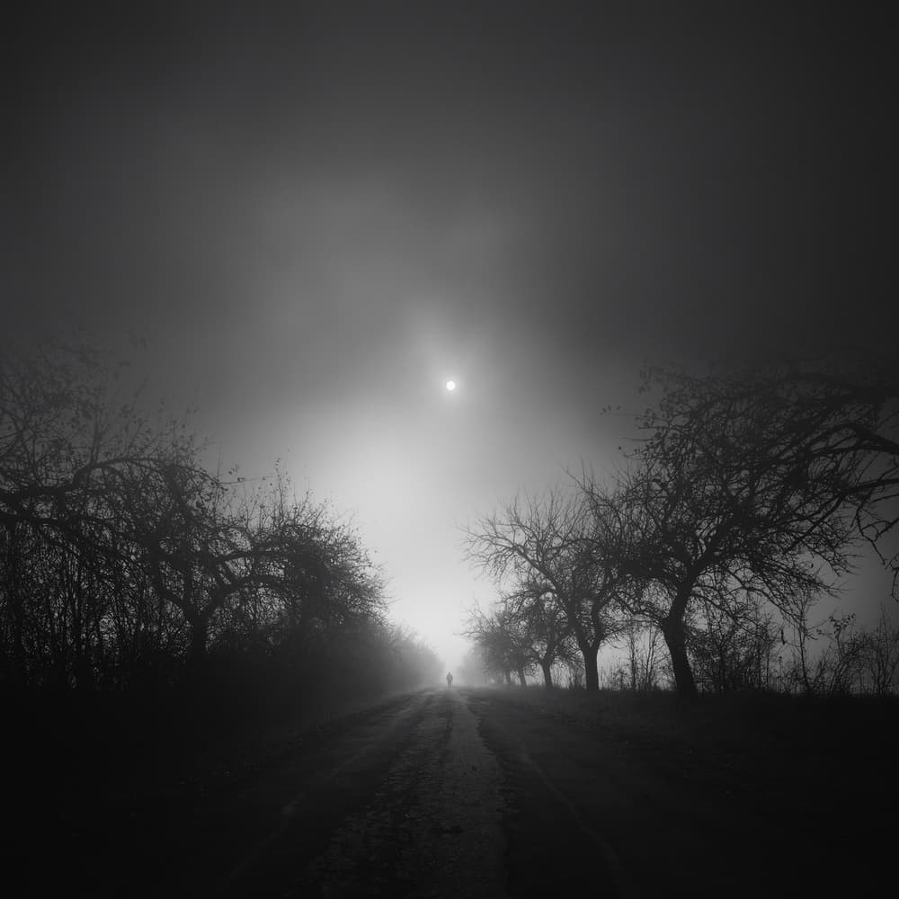 Lone Figure Misty Path by Martin Marcisovsky — canvas wall art