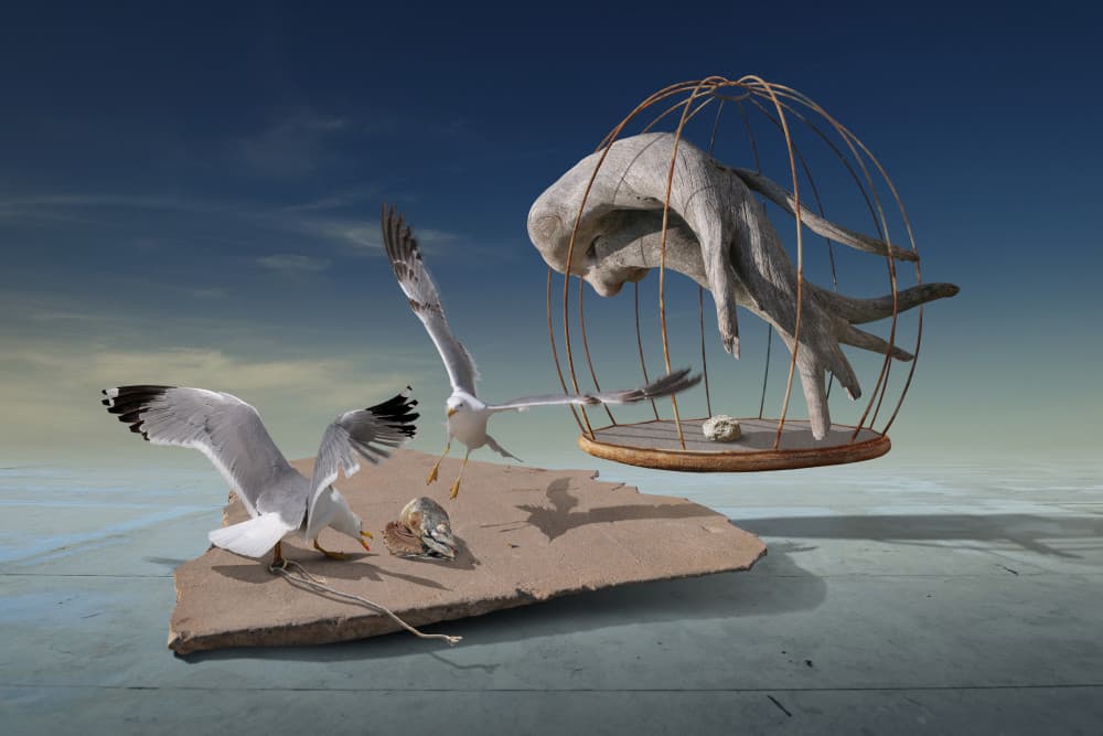 Seagulls Escape Surreal Cage by Radoslav Penchev — canvas wall art