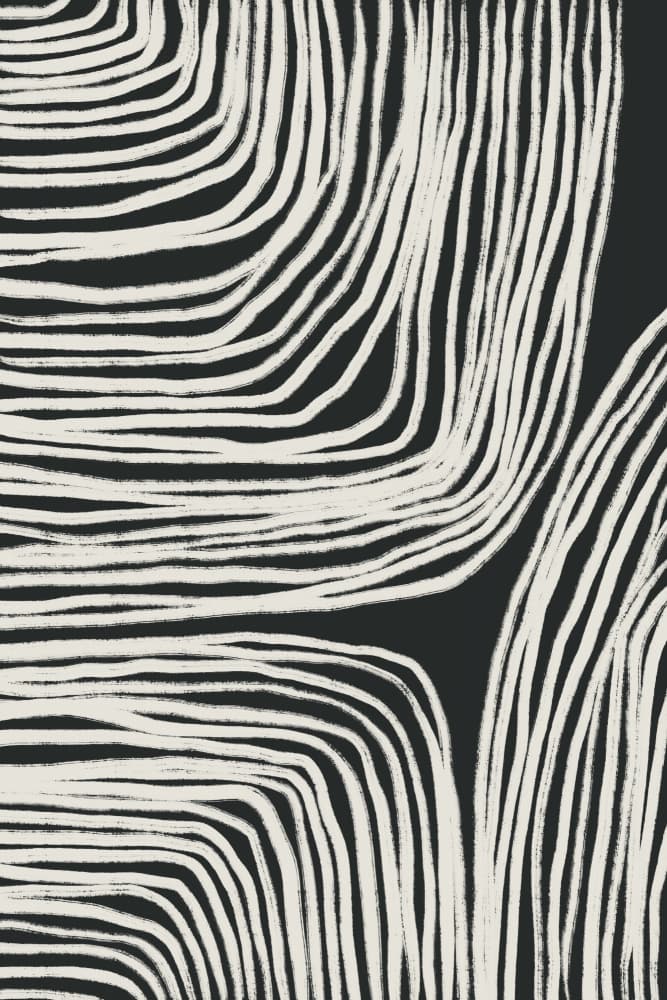 Monochrome Organic Wavy Lines by uplusmestudio — canvas wall art