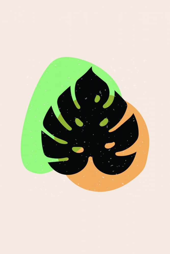 Tropical Monstera Shapes by jay stanley — canvas wall art