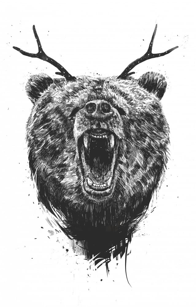 Roaring Bear Antlers by Balazs Solti — canvas wall art
