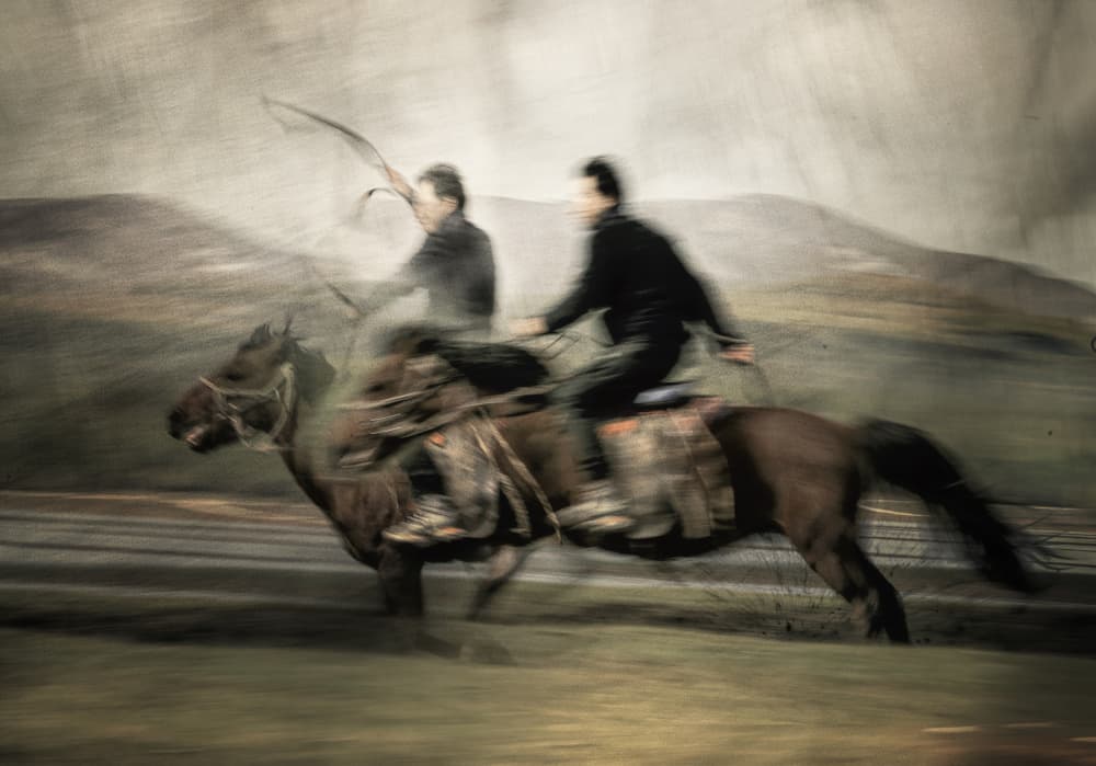 Fast Horse Racing by Rachel Pansky — canvas wall art