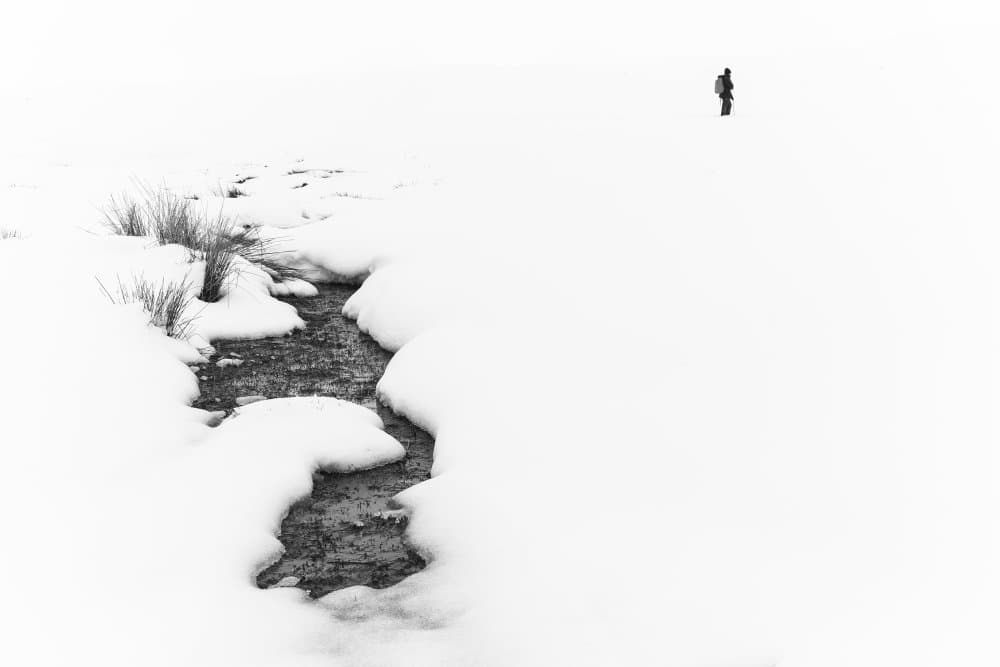 Snowy Stream Lone Walker by Mahshad Razavi — canvas wall art