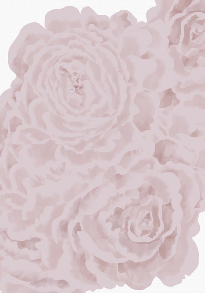 Soft Pink Peonies by Pictufy Studio II — canvas wall art
