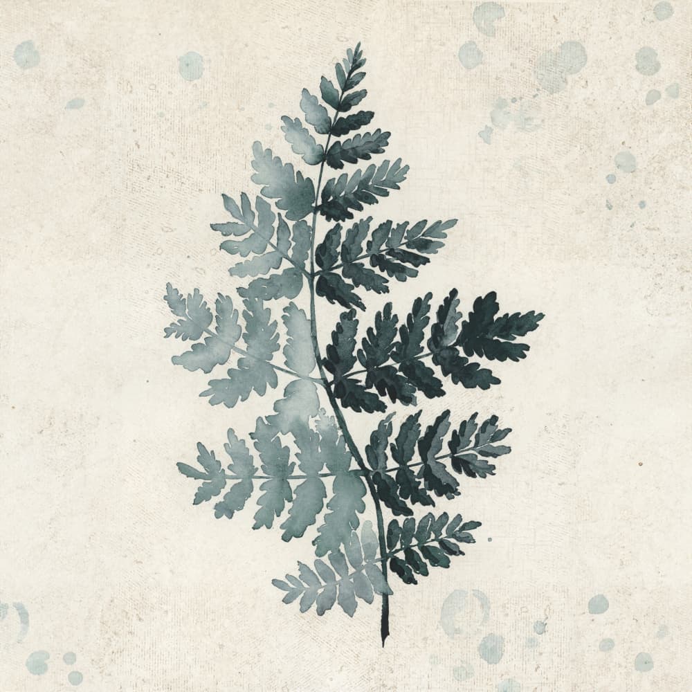 Serene Fern Watercolor by Rosana Laiz Blursbyai — canvas wall art