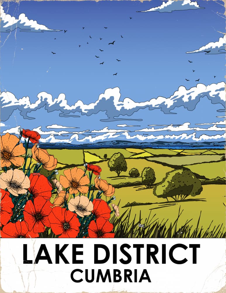Lake District Poppies by Nicholas — canvas wall art