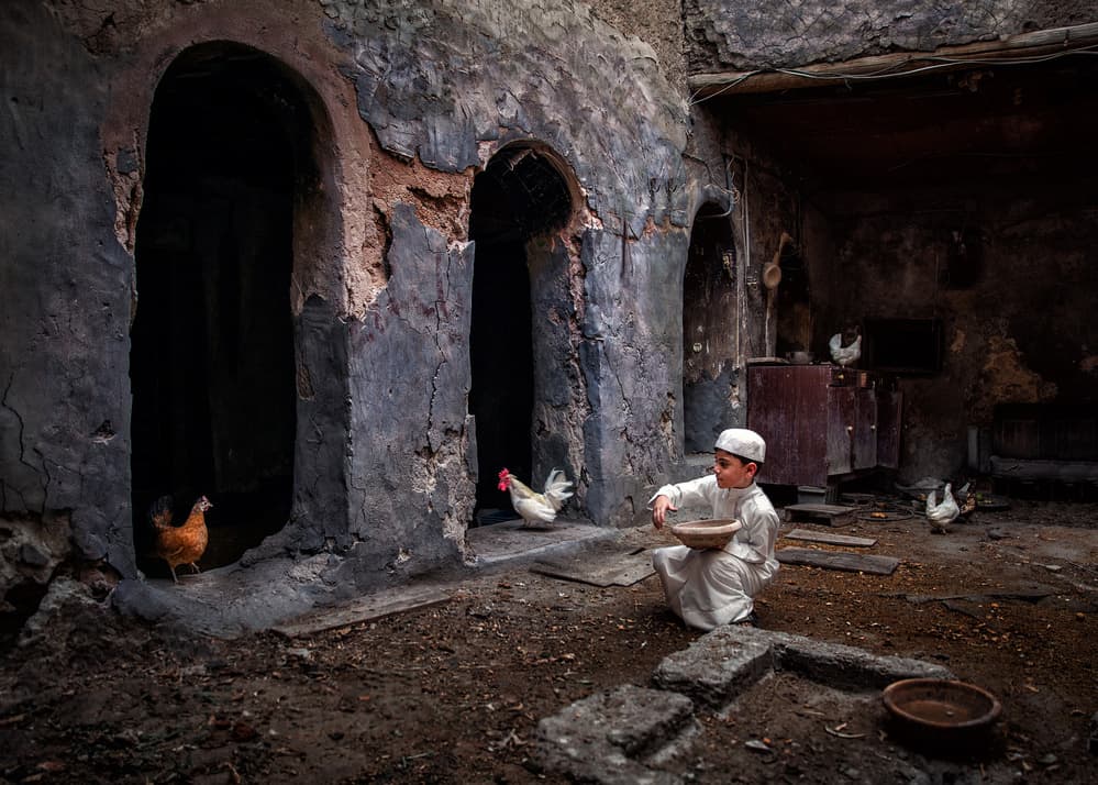 Young Boy Feeding Chickens by Fadhel Almutaghawi — canvas wall art