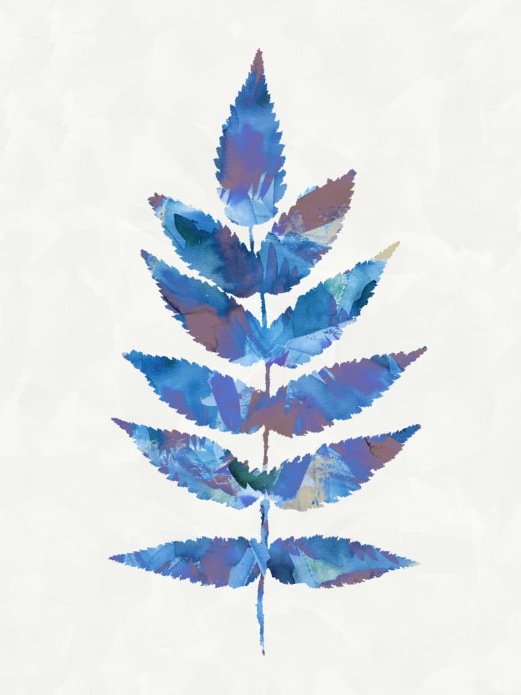 Botanical Watercolour Leave Blue Purple by Ninola Design — canvas wall art