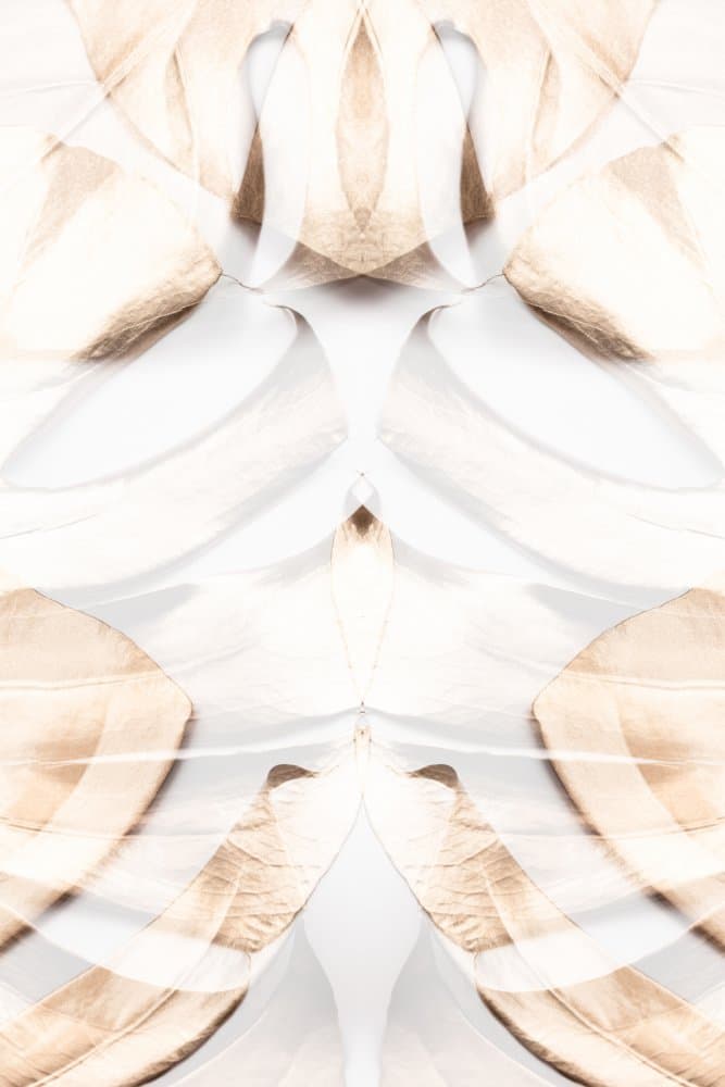 Soft Beige Abstraction by Pictufy Studio III — canvas wall art