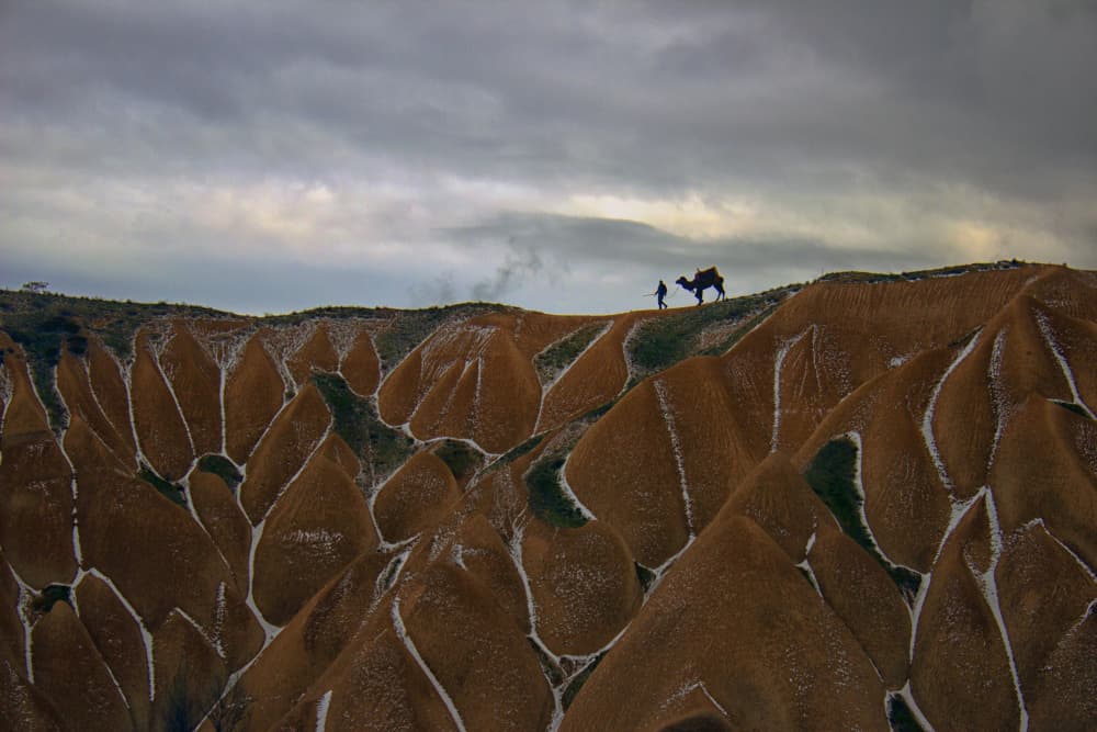 Solitary Camel Journey by aumitcanan — canvas wall art