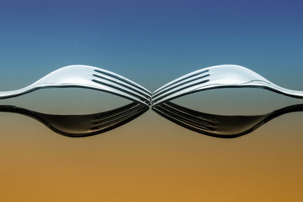 Silver Forks Reflection by Urs Zimmermann — canvas wall art