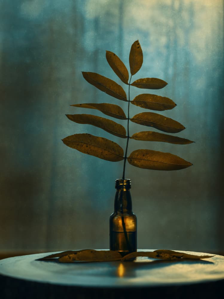 Dried Leaves Still Life by Nikki Georgieva V E G A N I K — canvas wall art