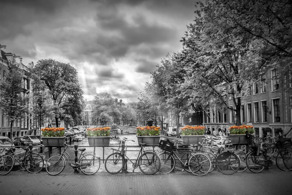 Amsterdam Canal Bikes by Melanie Viola — canvas wall art