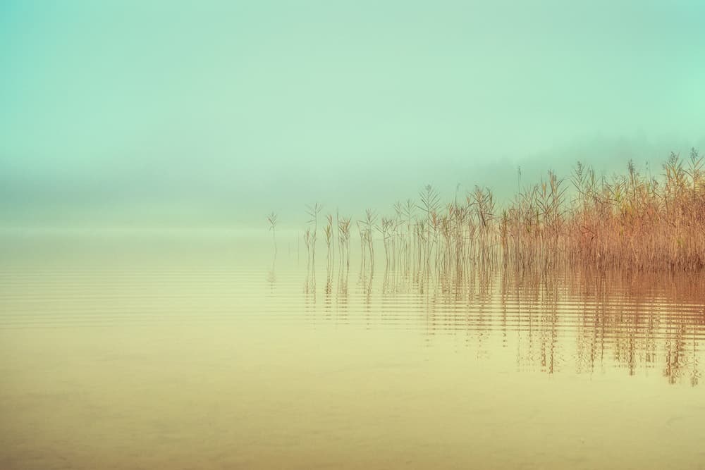 Serene Misty Morning by Ulrike Eisenmann — canvas wall art