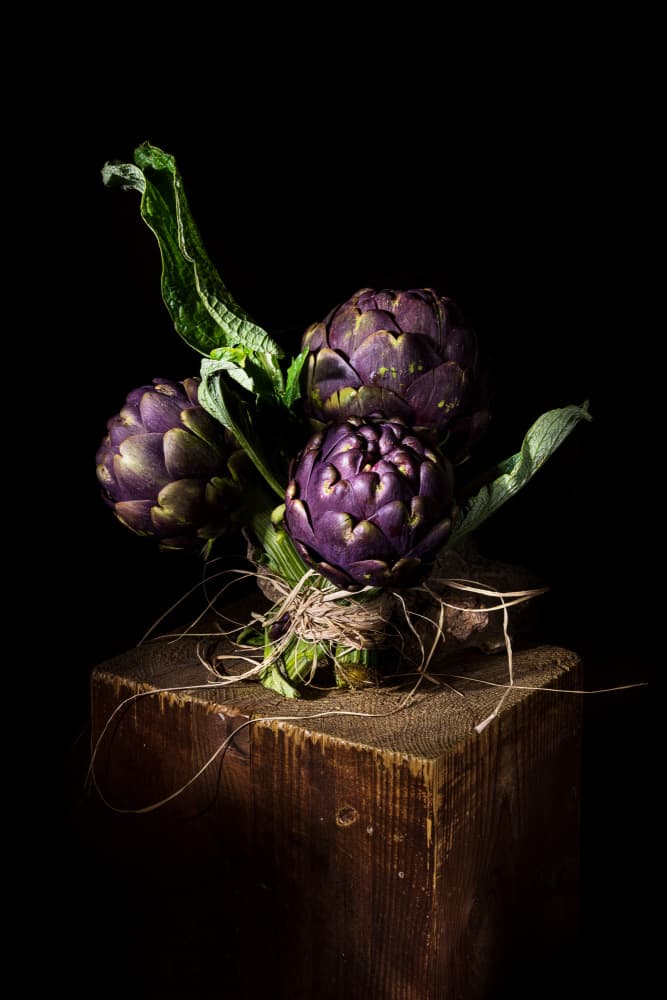 Vibrant Purple Artichokes by Felice Angelino — canvas wall art