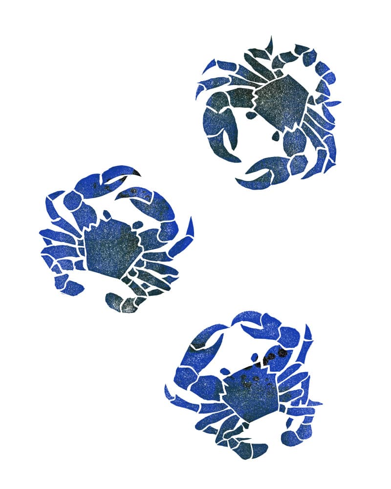 Stylized Blue Crabs by Melissa McKeagney — canvas wall art