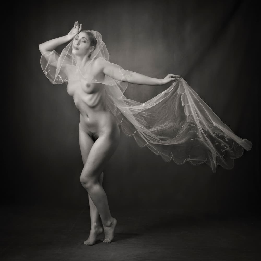 Graceful Nude Flowing Veil by Catchlight Studio — canvas wall art