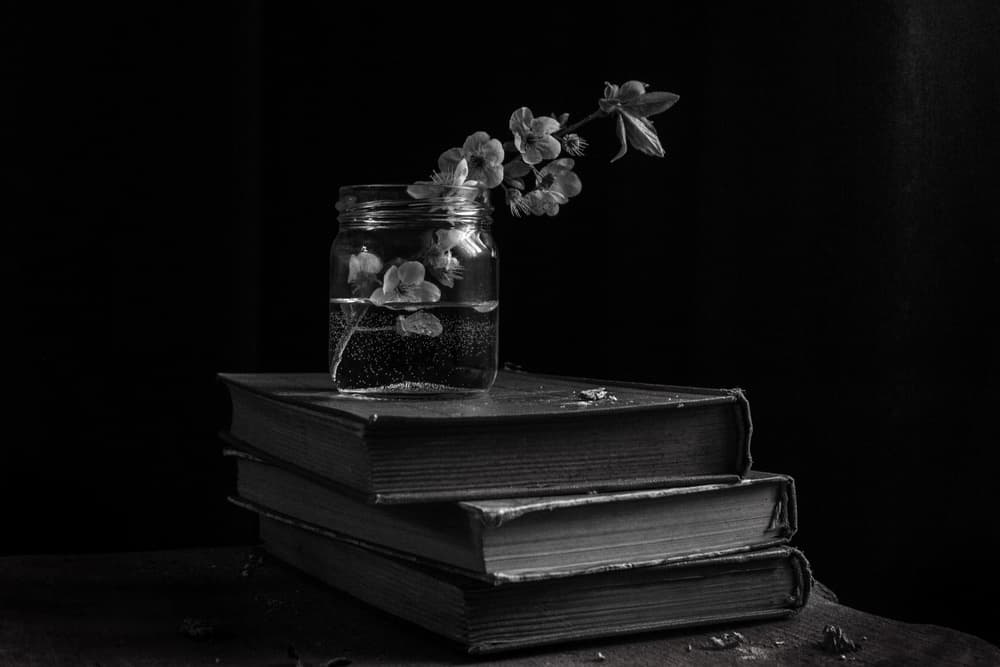 Moody Blooms on Books by Ramiz Sahin — canvas wall art