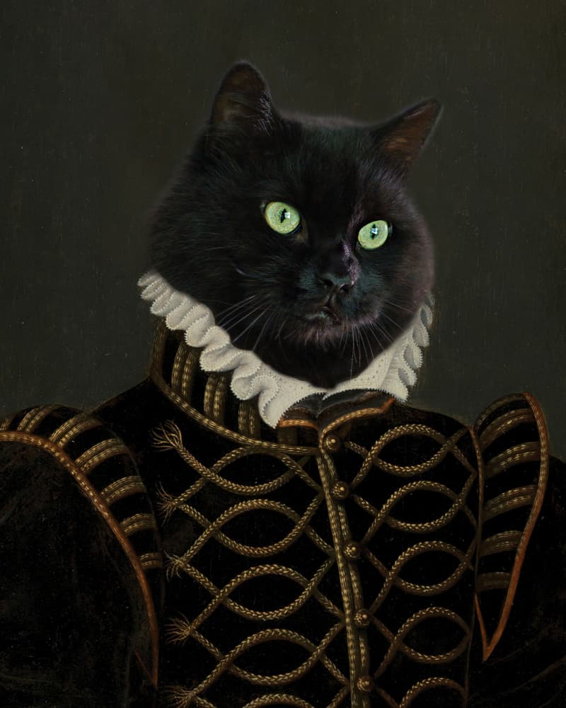 Noble Black Cat Portrait by Noa Nick — canvas wall art