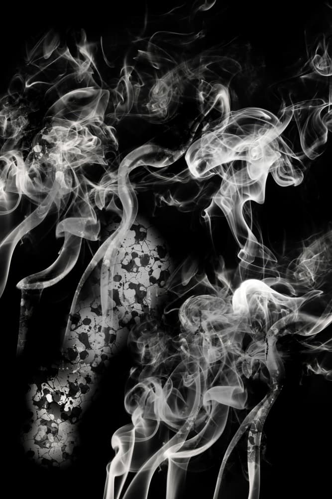 Elegant Smoke Form by Rafal Kulik — canvas wall art