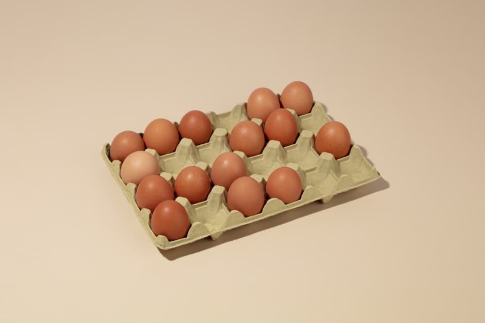 Brown Eggs In Carton by Julia Ramiro — canvas wall art