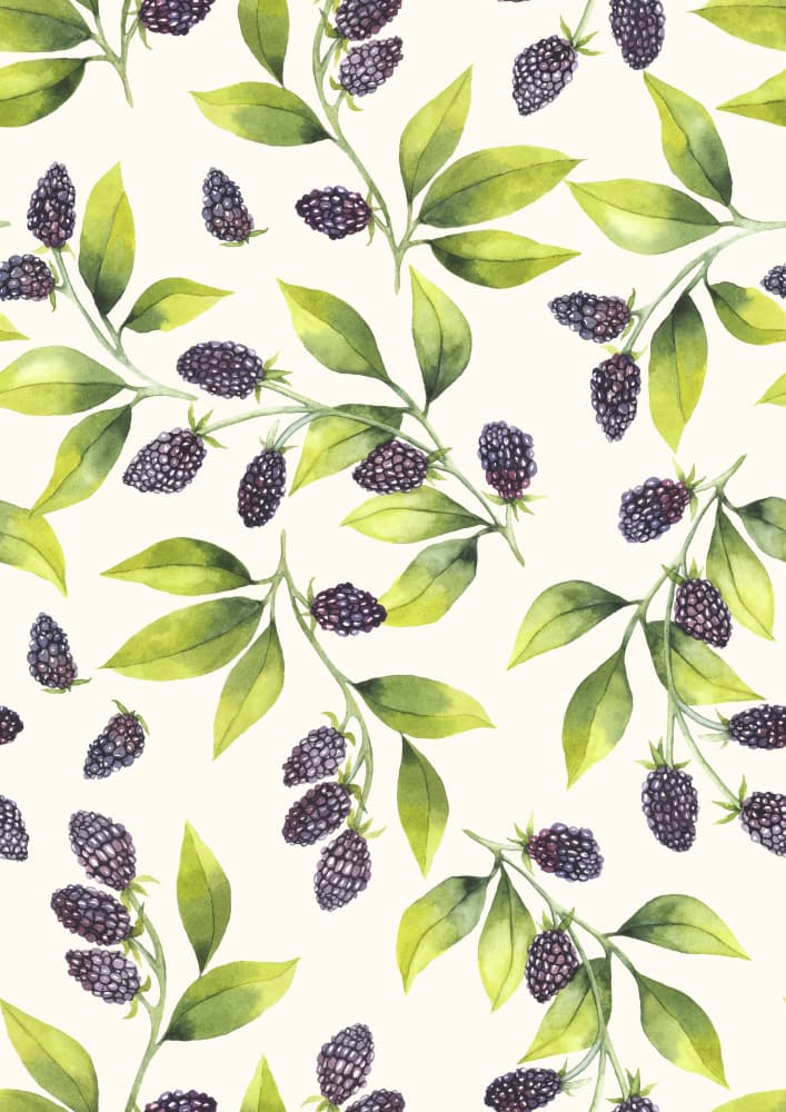 Watercolor Blackberry Pattern by Linda Sitniece — canvas wall art