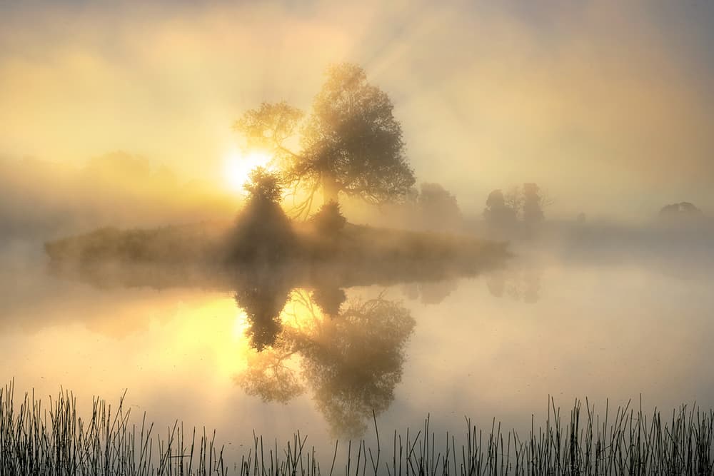 Golden Misty Sunrise by Keller — canvas wall art