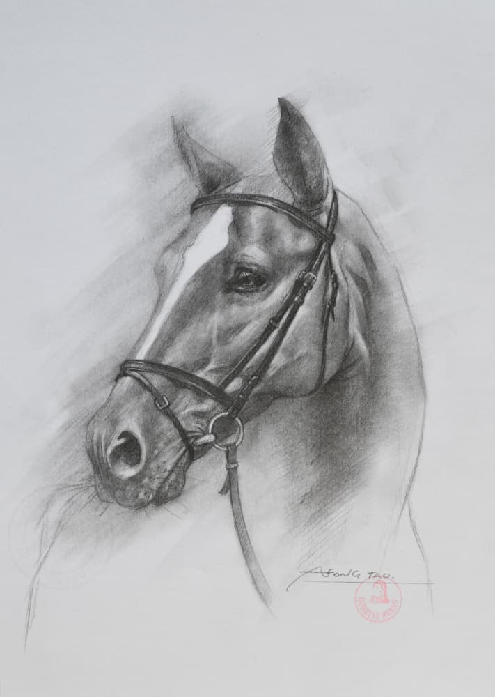 Elegant Horse Portrait by Hongtao Huang — canvas wall art