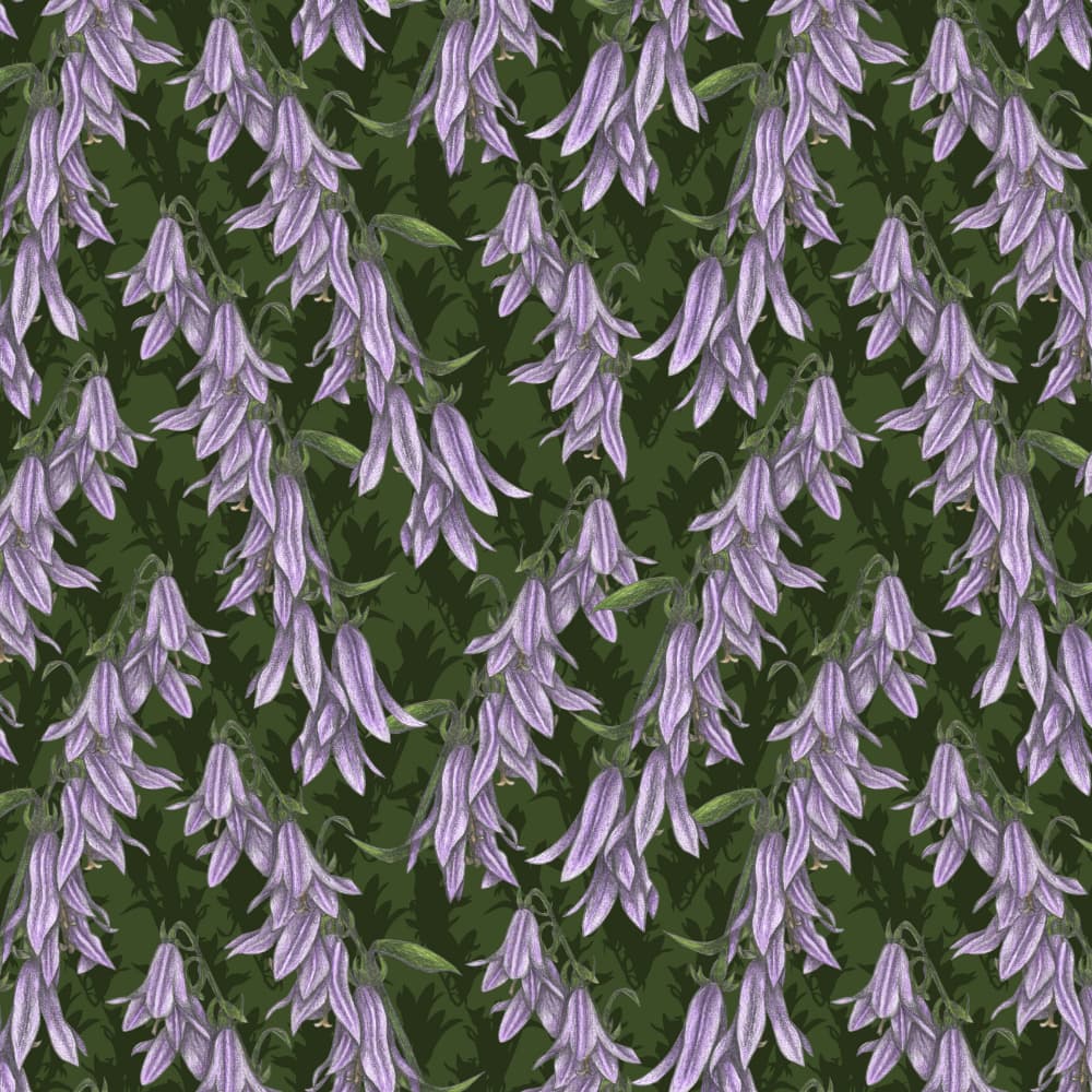 Purple Bellflower Pattern by Cecilia Battaini — canvas wall art