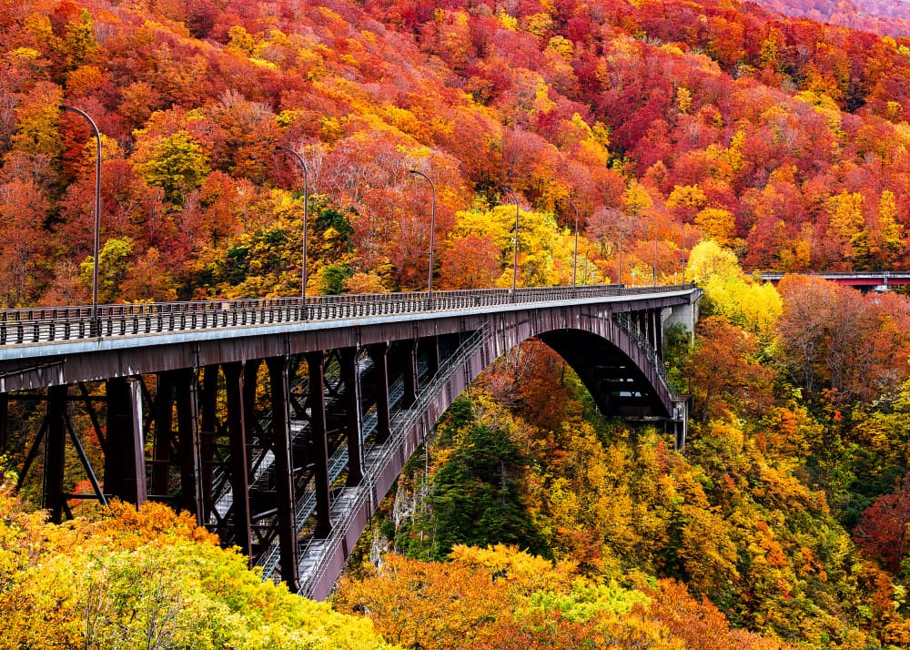 Vibrant Autumn Bridge by Hidenori Sono — canvas wall art