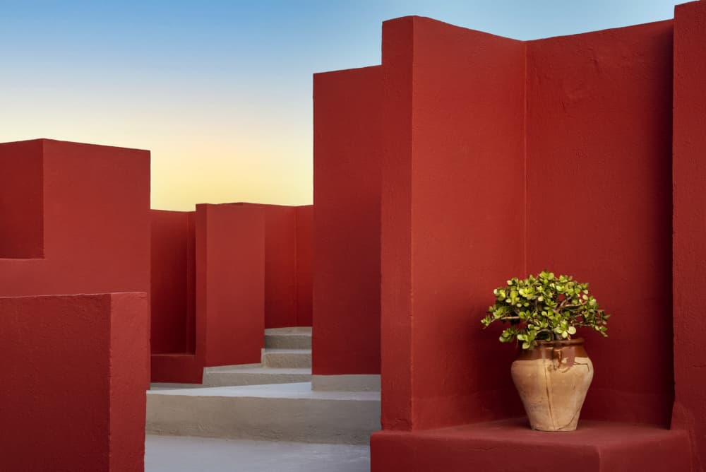Terracotta Rooftop Garden by Linda Wride — canvas wall art