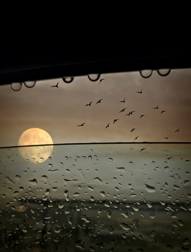 Moody Moon Rainy View by Robert Fabrowski — canvas wall art