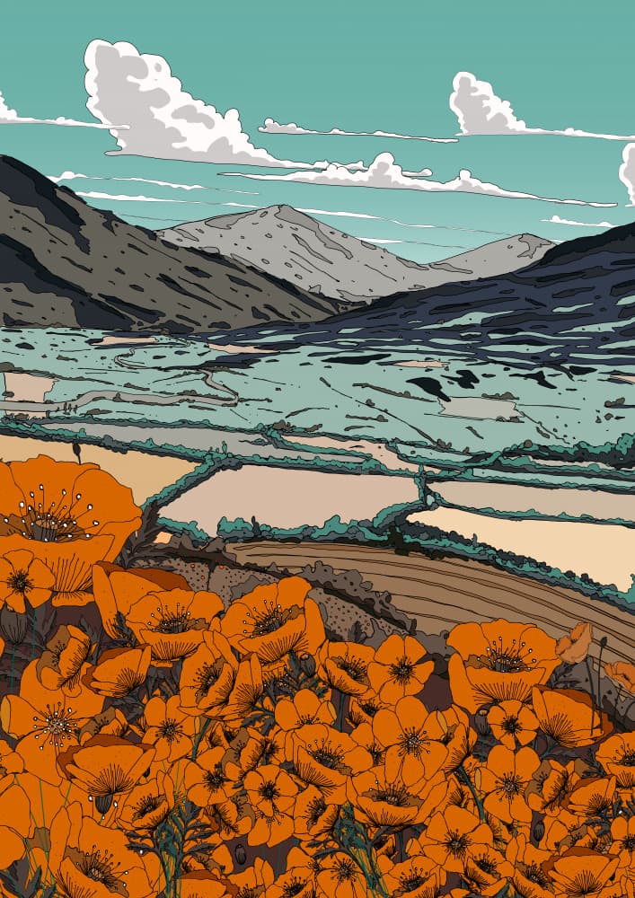 Vibrant Poppy Valley by Nicholas — canvas wall art