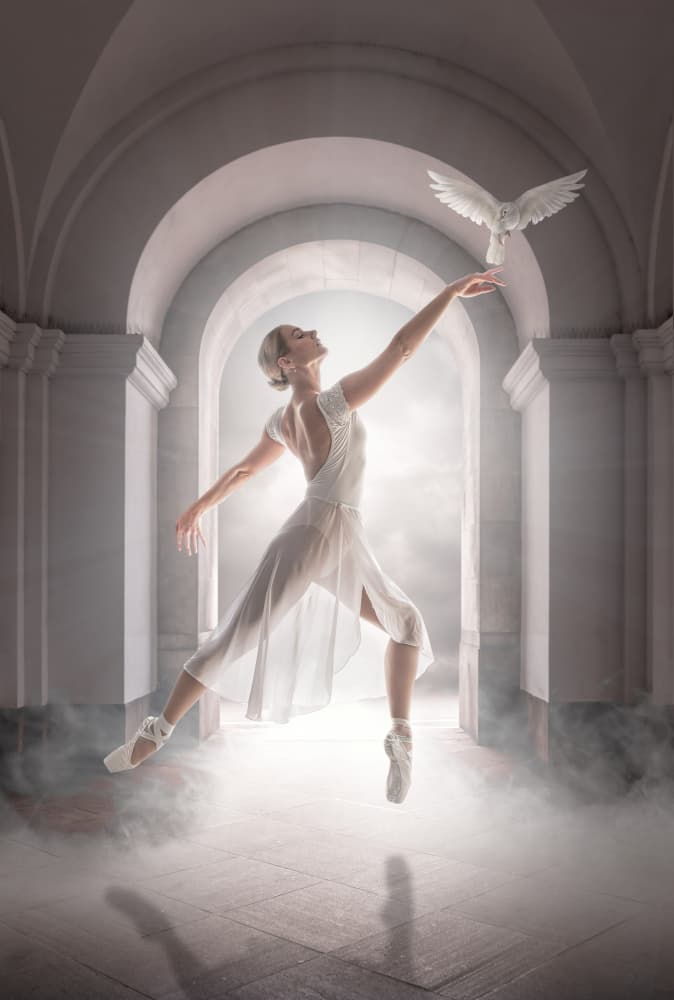 Graceful Ballerina and Dove by Marcel Egger — canvas wall art