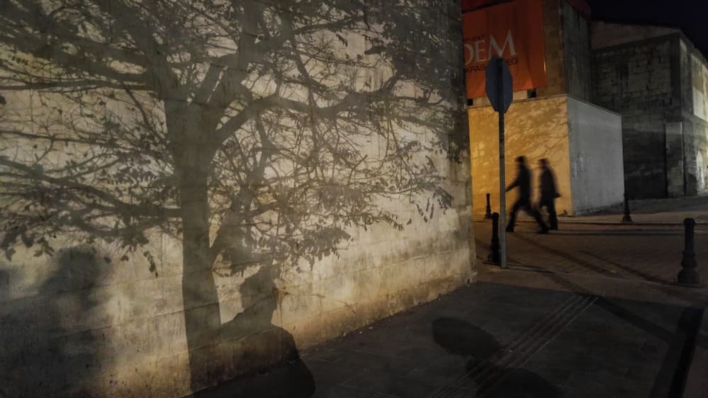 Urban Tree Shadows by Murat YILMAZ — canvas wall art
