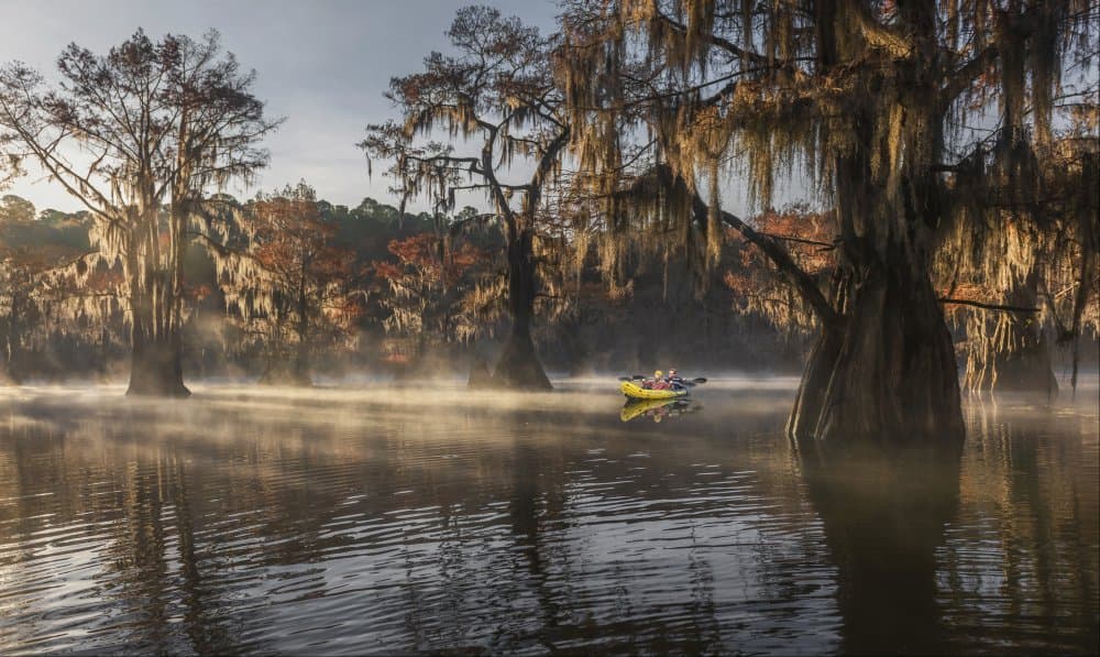 Kayak in Misty Swamp by Anna Zhang — canvas wall art