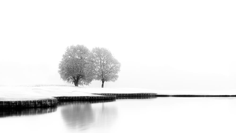 Winter Trees Reflection by Marc Huybrighs — canvas wall art